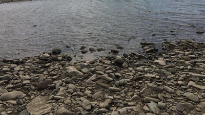 Через відсутність опадів на Львівщині міліють річки Через відсутність опадів на Львівщині міліють річки