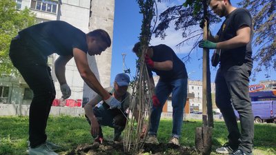 Сріблясті клени та вейгела. У Дніпрі студенти і волонтери озеленили сквер Сріблясті клени та вейгела. У Дніпрі студенти і волонтери озеленили сквер