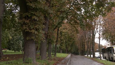 Погода на Рівненщині