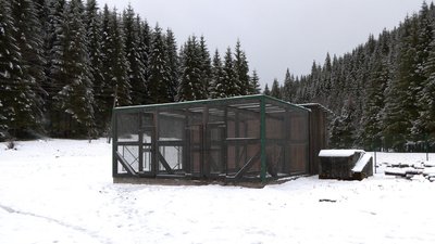 Реабілітаційний центр для тварин у Черемоському нацпарку Реабілітаційний центр для тварин у Черемоському нацпарку