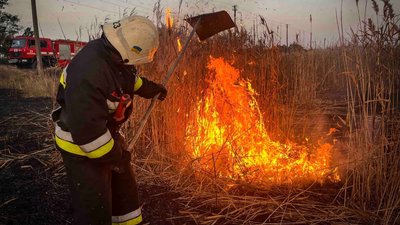 На Київщині рятувальники гасили всю ніч очерет неподалік будинків