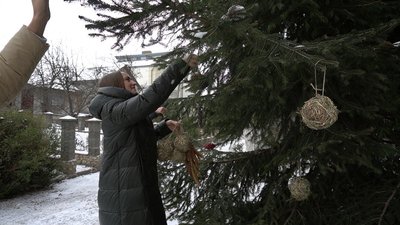 У Тернополі учні обласного екоцентру створили ялинку-годівничку