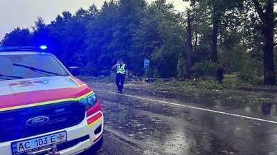 На дороги попадали дерева: рятувальники на Волині усувають наслідки негоди