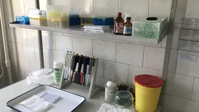 У Житомирі – сезон активності кліщів У Житомирі – сезон активності кліщів