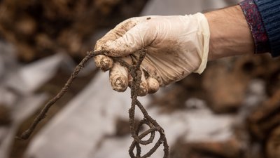 На Херсонщині виявили нове масове поховання людей На Херсонщині виявили нове масове поховання людей