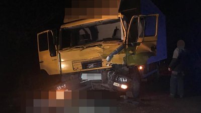 На Житомирщині зіштовхнулись вантажівки: двоє людей загинули (ОНОВЛЕНО)