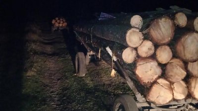 На Житомирщині за добу викрили трьох чоловіків у незаконних оборудках з деревиною На Житомирщині за добу викрили трьох чоловіків у незаконних оборудках з деревиною