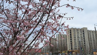 Загиблий через обстріл, день народження Шевченка, збиті дрони. Головні новини Дніпропетровщини 9 березня