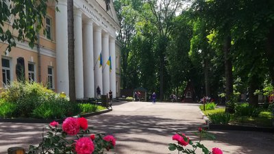 Природа, зброя і дизайн: у Рівному в краєзнавчому музеї відкрили частину експозицій
