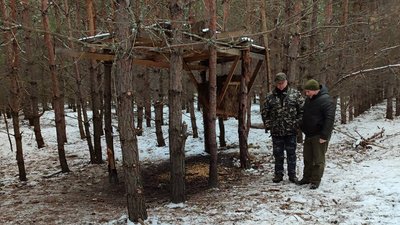 Тварини, мисливство, облік