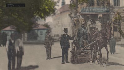 Кінний транспорт Кінний транспорт