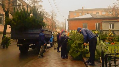 Останній ярмарковий день. Скільки новорічних дерев продали лісівники Кіровоградщини