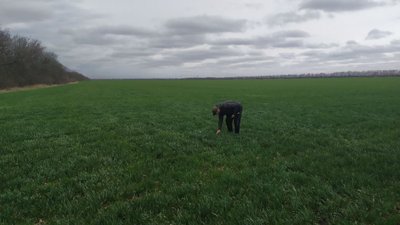 Аграрії Кіровоградської області взяли майже півтора мільярда кредиту для посівної