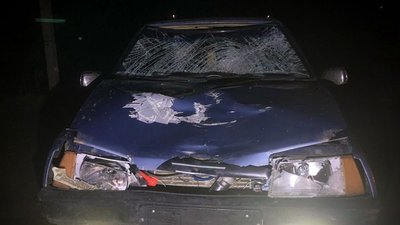 Сів за кермо нетверезим і збив двох жінок: на Одещині сталась смертельна ДТП — поліція