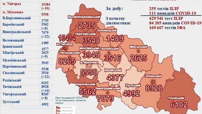 На Закарпатті за добу виявили 111 випадків COVID-19 На Закарпатті за добу виявили 111 випадків COVID-19