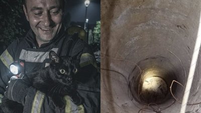 тернопіль, дснс, колодязь, кіт, врятували кота, 21 серпня 2026 року