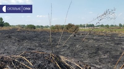 сморід суми сморід суми