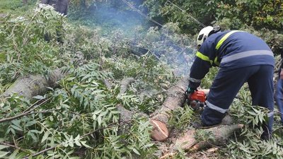 Повалені дерева та відустність електропостачання — наслідки негоди на Вінниччині Повалені дерева та відустність електропостачання — наслідки негоди на Вінниччині