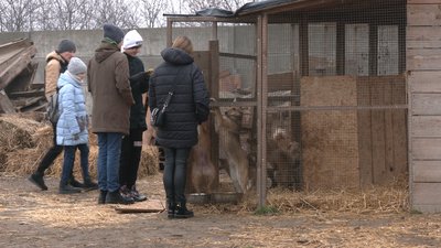 День волонтера: рівняни завезли допомогу в притулок для котів і собак День волонтера: рівняни завезли допомогу в притулок для котів і собак