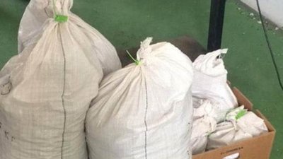 Суд на Волині арештував 116 кілограмів бурштину