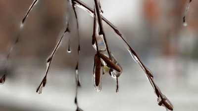 На Білопільщині аварійні відключення світла через обледеніння та обрив проводів