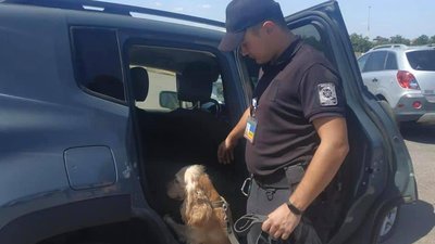 У порту на Одещині виявили набої та наркотики у битих автівках