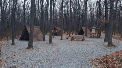 У Чернівецькій області на території лісництва створили екологічну стежку У Чернівецькій області на території лісництва створили екологічну стежку