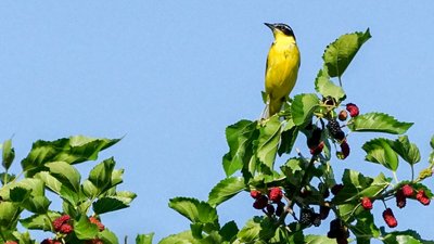 Як минув тиждень на Миколаївщині у фото