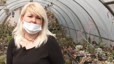 Кількатисячну колекцію сукулентів і кактусів зібрала черкащанка