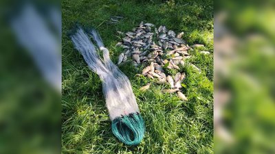 Сітка та риба, незаконно виловлена на Чернігівщині 9 травня 2024 року