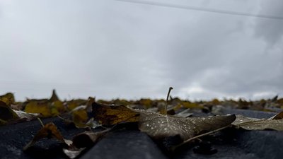 Прогноз погоди на 21-24 жовтня