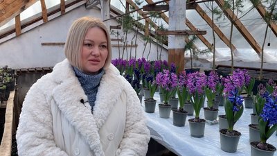 140 гіацинтів шести сортів та крокуси вперше виростили на Прилуцькій дослідній станції на Чернігівщині 140 гіацинтів шести сортів та крокуси вперше виростили на Прилуцькій дослідній станції на Чернігівщині