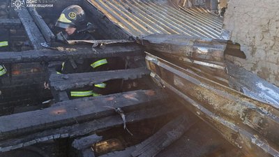 20 котів загинули в пожежі у Харкові 20 котів загинули в пожежі у Харкові