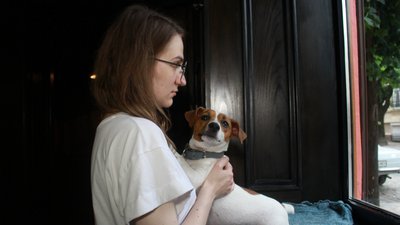 Допомагають працювати. Як буковинські собаки долучилися до акції "Собака на роботу" Допомагають працювати. Як буковинські собаки долучилися до акції "Собака на роботу"