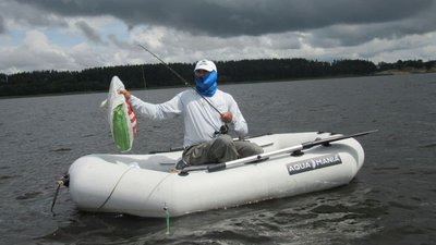 На Житомирщині влаштували "Eco fish picnic" – діти та дорослі прибирали узбережжя водосховища На Житомирщині влаштували "Eco fish picnic" – діти та дорослі прибирали узбережжя водосховища