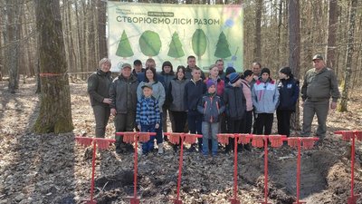 Дуби та сосни: на Волині переселенці з лісівниками засадили п'ять гектарів лісу Дуби та сосни: на Волині переселенці з лісівниками засадили п'ять гектарів лісу