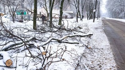 Прибирання снігу в березні 2024 року в Умані Прибирання снігу в березні 2024 року в Умані