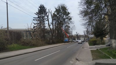 Висаджують квіти та зрізають гілля дерев: у Луцьку комунальники працюють над благоустроєм міста Висаджують квіти та зрізають гілля дерев: у Луцьку комунальники працюють над благоустроєм міста