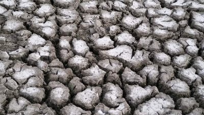 На Одещині висохли озера в заповіднику