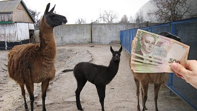За тиждень Менському зоопарку зібрали майже 220 тисяч гривень допомоги