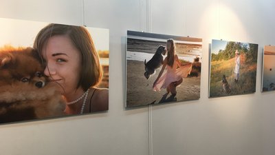 "Каністерапія в кадрі": в Одесі відкрили виставку світлин дітей з інвалідністю "Каністерапія в кадрі": в Одесі відкрили виставку світлин дітей з інвалідністю
