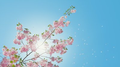 Хюґе по-українськи. Що таке щастя і де нам його знайти Хюґе по-українськи. Що таке щастя і де нам його знайти