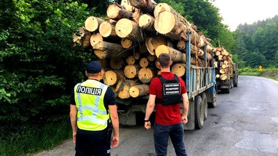 Дві вантажівки зі смерекою зупинили на Закарпатті прикордонники