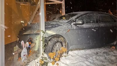 Пошкодив вітрину ветклініки