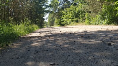 Батьки на Волині проти закриття сільської школи: до найближчої – 11 кілометрів лісом Батьки на Волині проти закриття сільської школи: до найближчої – 11 кілометрів лісом
