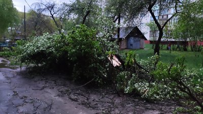 Зірваний дах та повалені дерева – наслідки шквального вітру у Шостці та районі