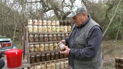 На Херсощині зафіксована перша смерть від отруєння грибами