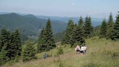 У Чернівецькій області створили два пішохідні гірські маршрути