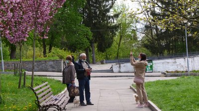 На Житомирщині студенти та викладачі університету розкривають дендрологічні таємниці міського парку На Житомирщині студенти та викладачі університету розкривають дендрологічні таємниці міського парку