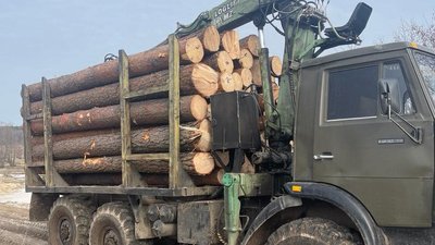 Везли деревину без документів — на Житомирщині прикордонники двічі за добу зупиняли вантажівки із лісом Везли деревину без документів — на Житомирщині прикордонники двічі за добу зупиняли вантажівки із лісом